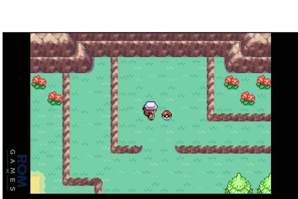 Pokémon FireRed Version 