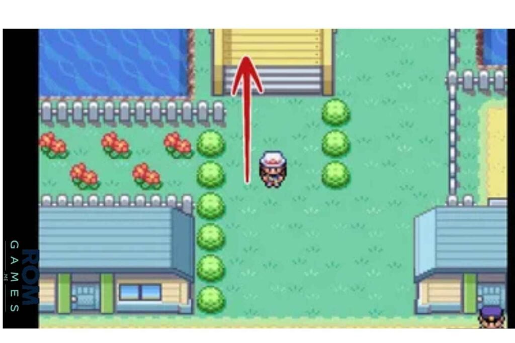 Pokémon FireRed Version 