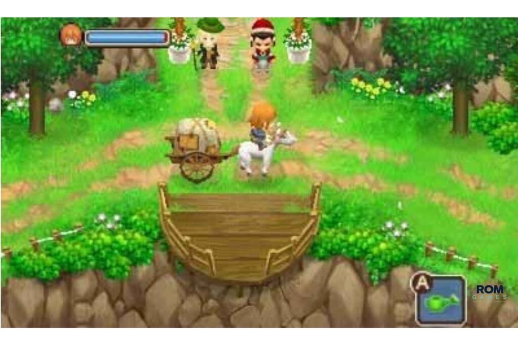 Harvest Moon 3D: The Tale of Two Towns