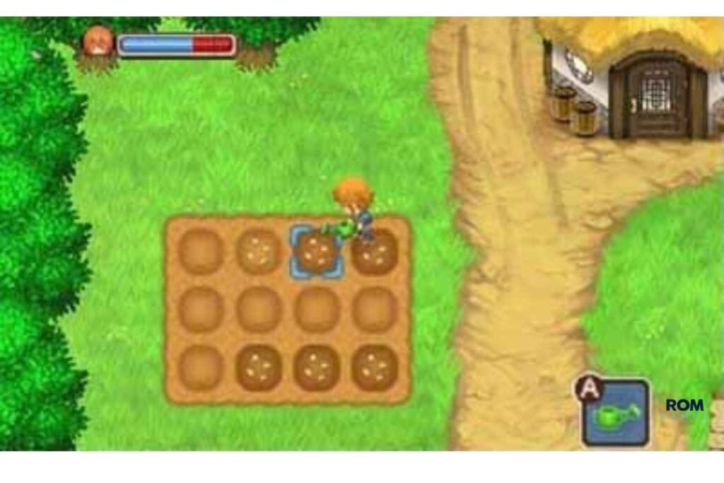 Harvest Moon 3D: The Tale of Two Towns