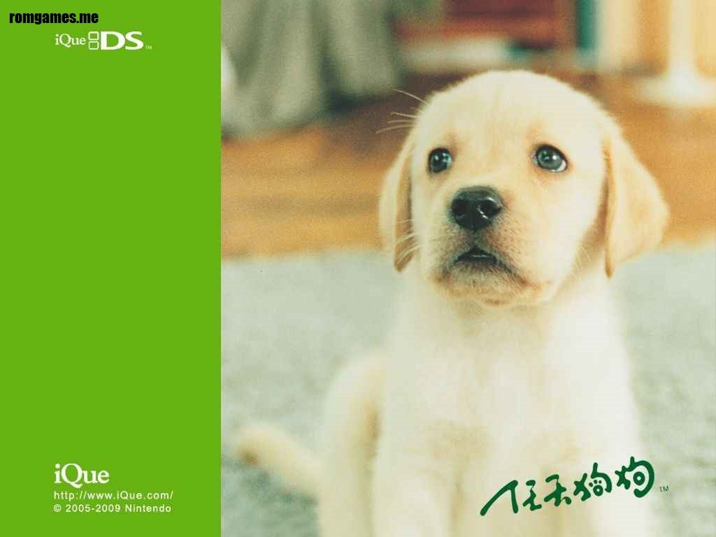 Nintendogs: Lab & Friends