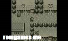 Pokemon Blue Version