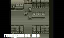 Pokemon Blue Version