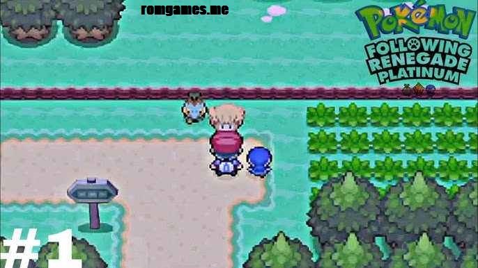 Pokémon Following Renegade Platinum