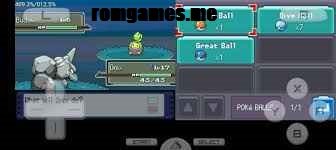 Pokémon Following Renegade Platinum