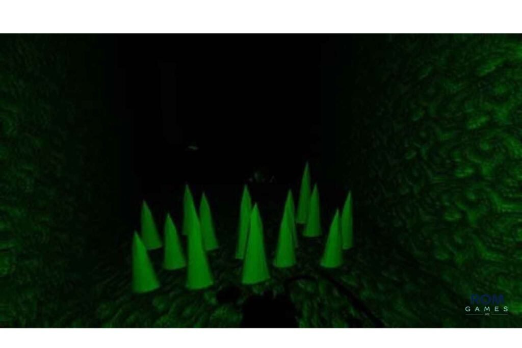 Shadows 