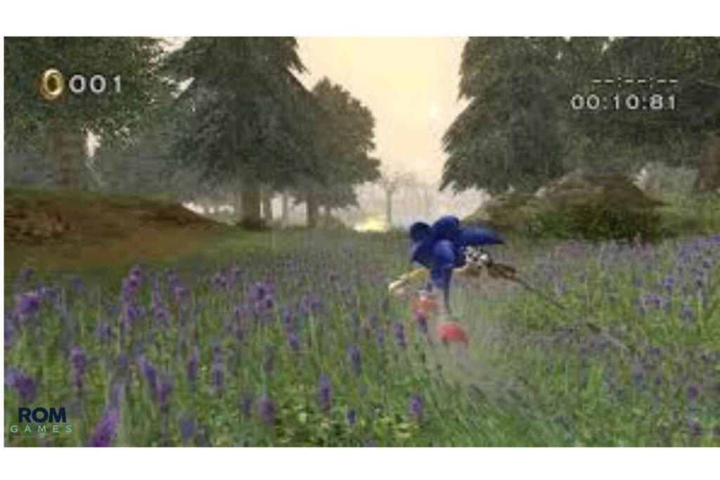 Sonic and the Black Knight