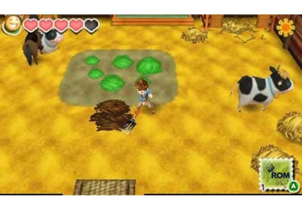 Story of Seasons 3DS