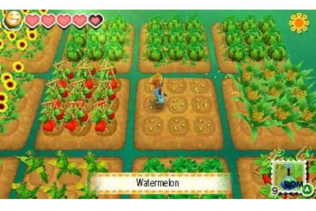 Story of Seasons 3DS