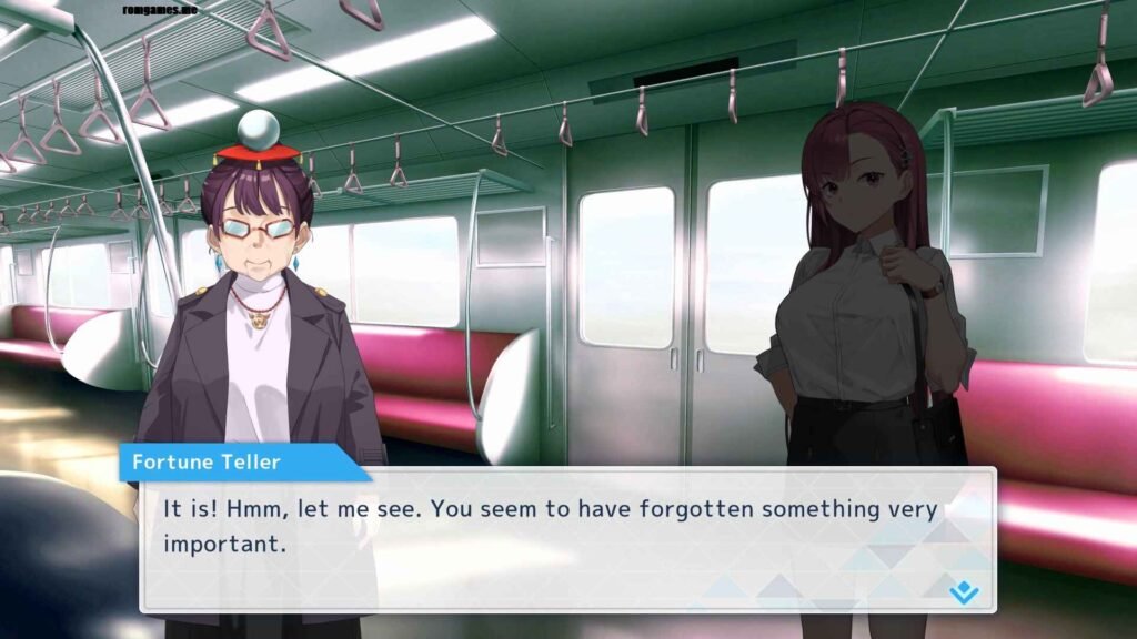 Rina's Undercover Train Operation