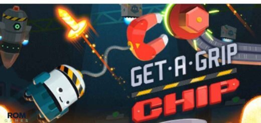 Get-A-Grip Chip