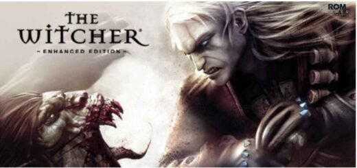 The Witcher Enhanced Edition