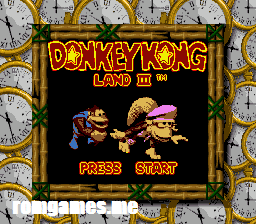 Donkey Kong Land III